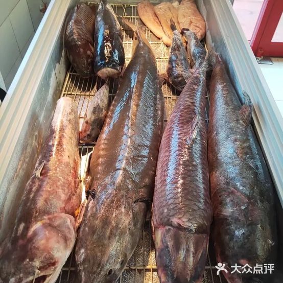 昊庭三江大鱼坊(一店)