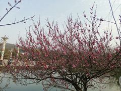-白马涧龙池景区