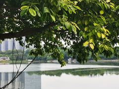-南宁南湖公园