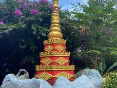 -瑞丽独树成林风景区