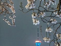 -红星桥(地铁站)