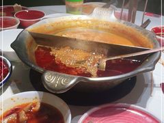 -九鼎轩脆毛肚火锅(三钢里店)