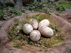 -湖南省地质博物馆