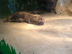 iphone_upload_pic-上海大自然野生昆虫馆