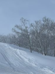 -大秃顶子山(雪谷店)