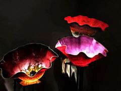 -奇胡利玻璃艺术园