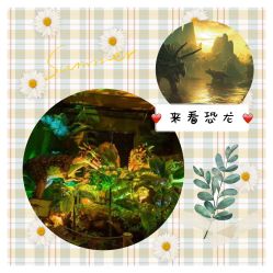 -恐龙探索乐园(磁器口店)