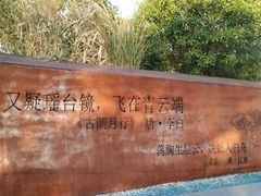 -飞凤山奥体公园