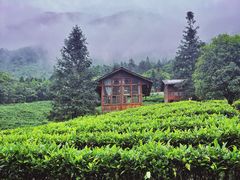 -姑婆山旅游区