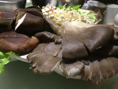 -万和源炝锅城·活鱼现炝(文艺北路店)