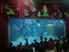 -台州海洋世界