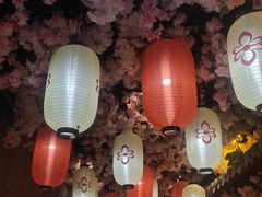 -金沙会馆