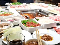 -高新活力汇Vitality