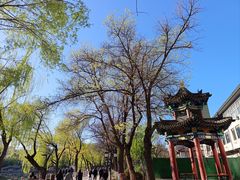 -文瀛公园