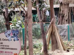 -广州长隆野生动物世界