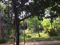 -新江湾城公园