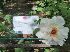 -仁和公园(顺义区)
