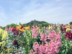 -上海辰山植物园