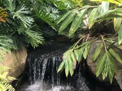 -汇雅温泉