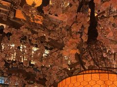 -桂满隴·站立的杭州(无锡八佰伴店)