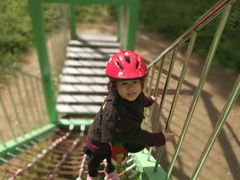 -崇明东平国家森林公园烧烤房车露营地