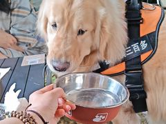 -J Create城市露营咖啡·简餐·宠物(上海动物园店)