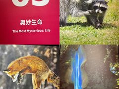 -圆融星座购物中心