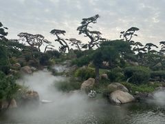 -罗红摄影艺术馆