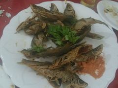android_upload_pic-连池鱼豆味坊(风景区店)