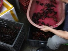 android_upload_pic-阿明烧烤·烤鱼·小龙虾(水清路店)