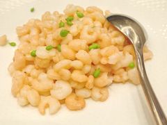 清炒小湖虾仁-新南华大酒店(长寿店)
