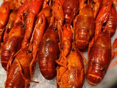 -舞虾小说.涮肉.烧烤(国顺东路店)