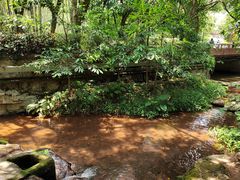 -大屏嶂森林公园