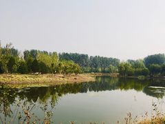 -东郊湿地公园