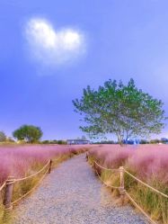 -西瓜庄园儿童摄影