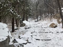 -阳台山自然风景区