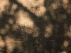 -伦教678文化街