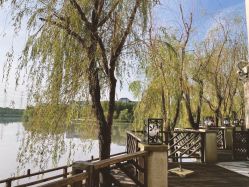 -卓玥国际月子会所(罗山路店)