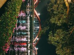-珠江夜游省总码头
