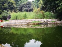 -成都市活水公园