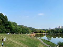 -番禺大夫山森林公园