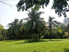 -白沙门生态公园