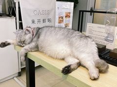 -Oasis绿洲银饰珍珠手作diy(壹方城店)