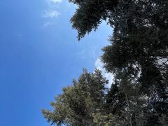 -长春世界雕塑园