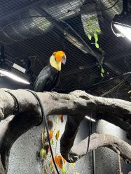 -Zoolung Zoolung动物主题公园(海信广场店)