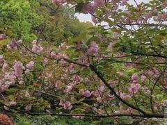 -杭州半山国家森林公园