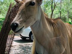 -北京野生动物园