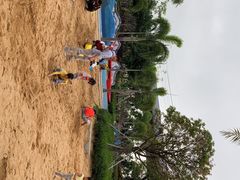 -宝安西湾红树林湿地公园