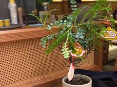 -CURRY YA 熟成咖哩專門店(深圳湾万象城店)