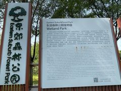 -东郊湿地公园